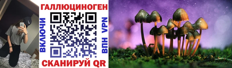 Псилоцибиновые грибы Cubensis  kraken tor  Заозёрск 